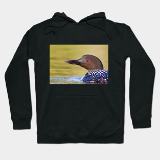 Closeup Common Loon Hoodie